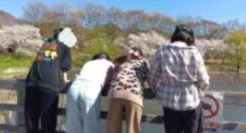 お花見に行ってきました