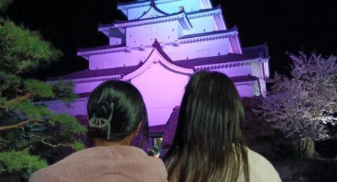 夜桜を見に行ってきました！🌸