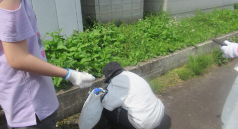 ボランティア活動で町をきれいにしました！